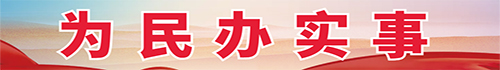为民办实事