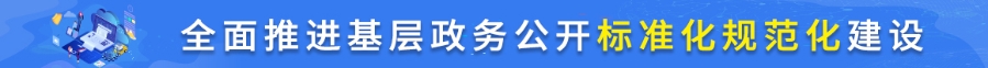 全面推进基层政务公开标准化规范化建设