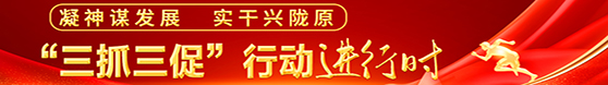 “三抓三促”行动进行时