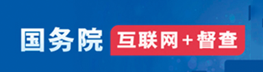国务院互联网+督查